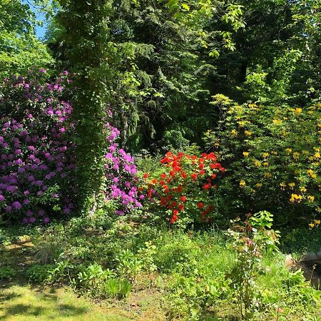 Ferienhaus Hudemuehlen Keine Monteure Hodenhagen Dış mekan fotoğraf