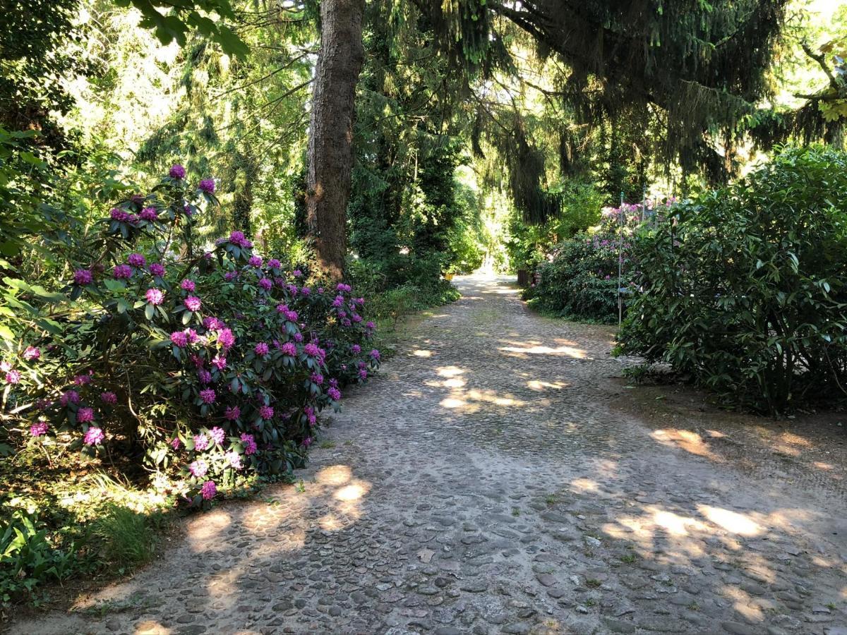 Ferienhaus Hudemuehlen Keine Monteure Hodenhagen Dış mekan fotoğraf