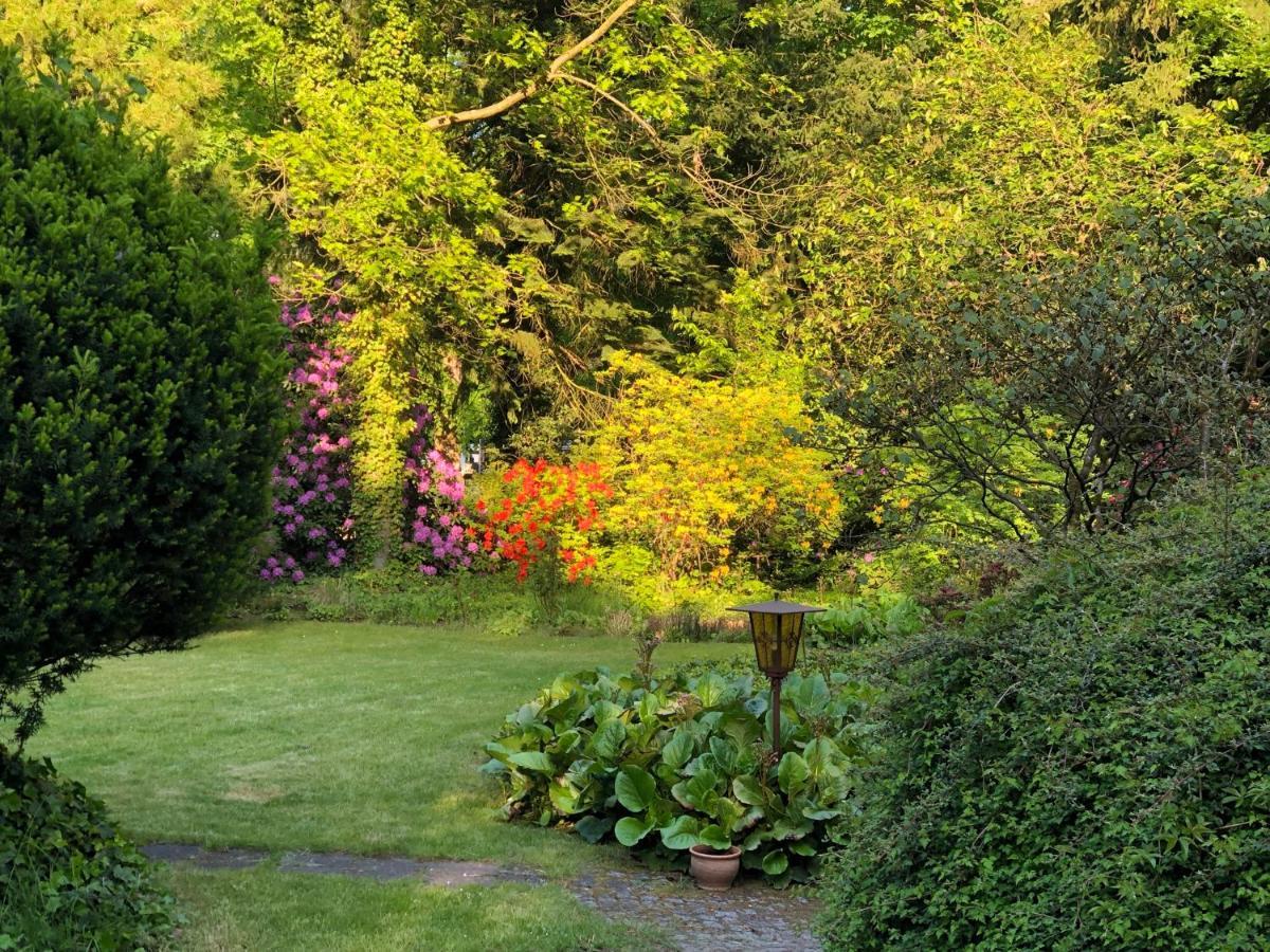 Ferienhaus Hudemuehlen Keine Monteure Hodenhagen Dış mekan fotoğraf