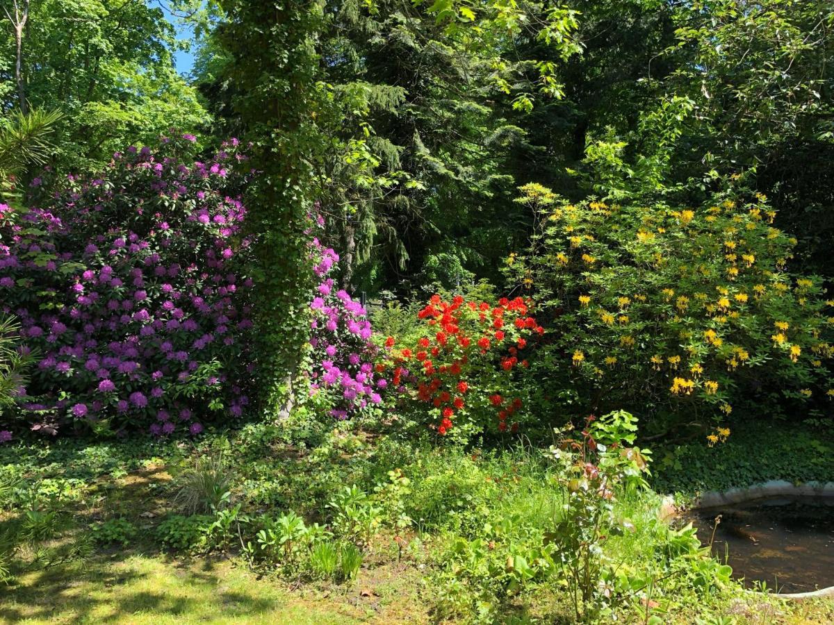 Ferienhaus Hudemuehlen Keine Monteure Hodenhagen Dış mekan fotoğraf